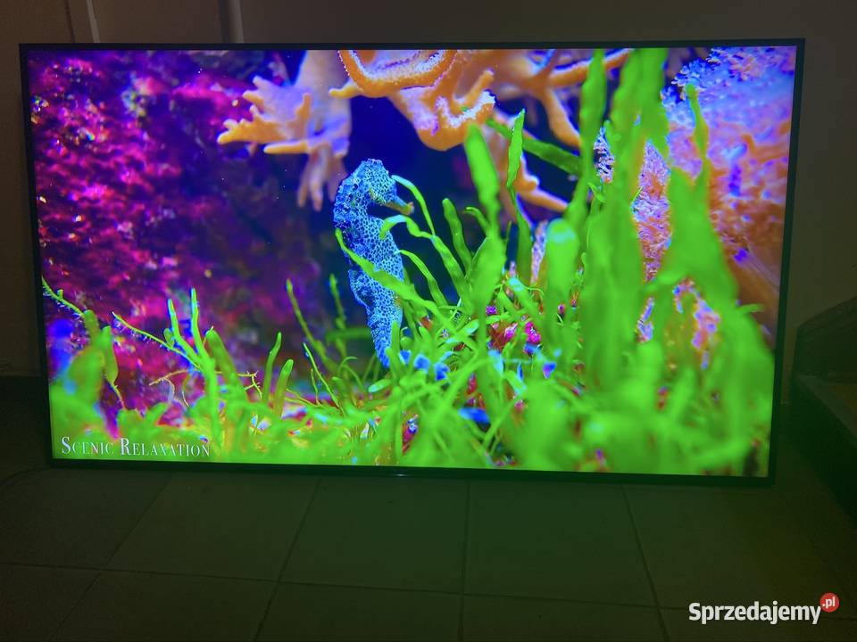 Sony 65x85L Sony Bytom