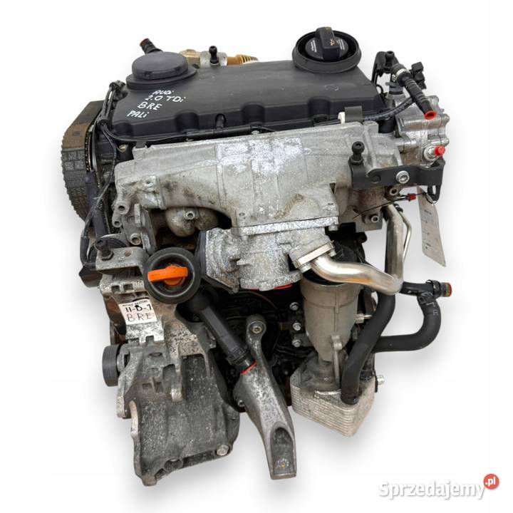 SILNIK BRE Audi A4 B7 A6 C6 20 TDI 140 diesel osobowe Chełm