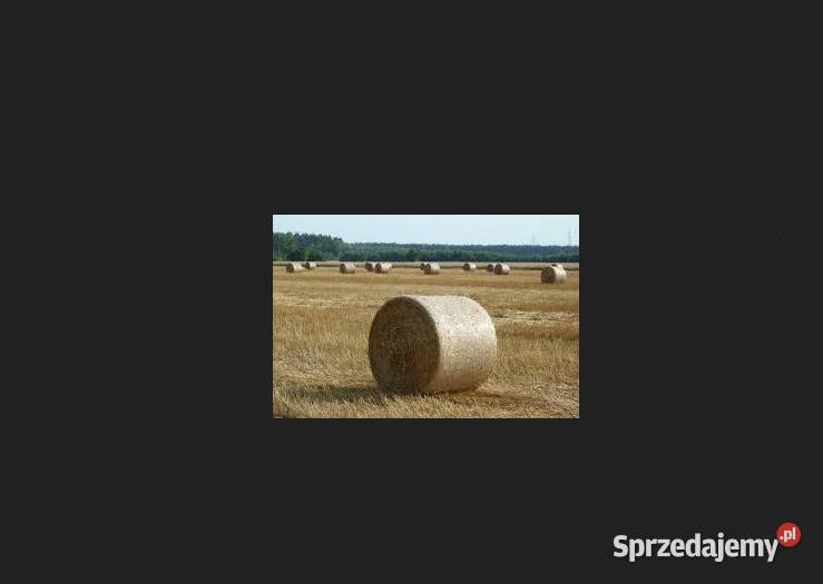 słoma bele baloty słomy ciuki balot sprzedam Żeszczynka sprzedam