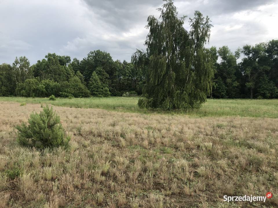 Kolankowo Prądocin dzialka rezydencyjny ze kujawsko-pomorskie