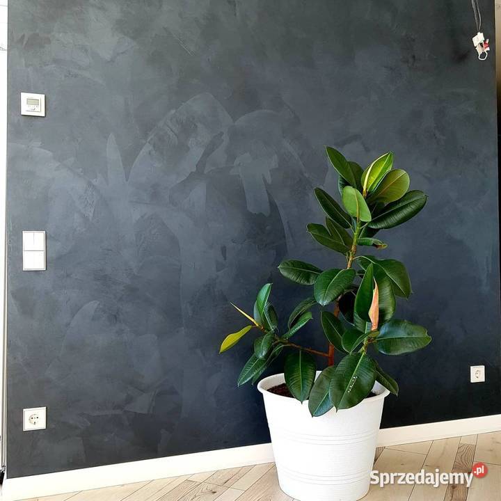 Profesjonalne Wykonywanie Tynków Dekoracyjnych i Warszawa