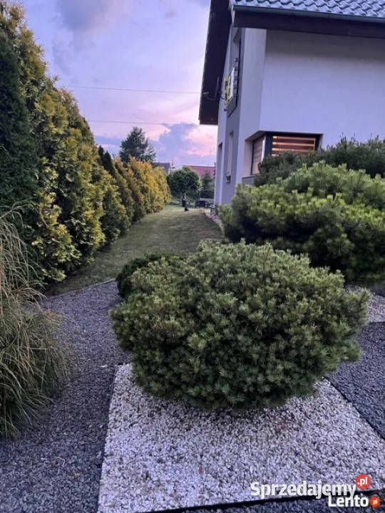 Dom wolnostojący w Starym Żaganiu powierzchnia Stary Żagań sprzedam