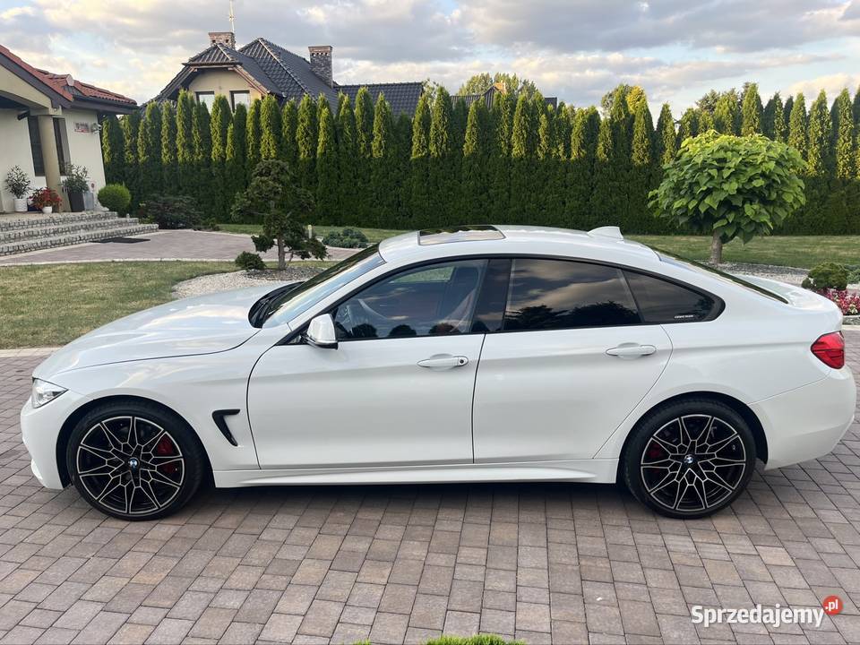 Bmw Seria 4 F36 2016 xDrive 428i Dudki