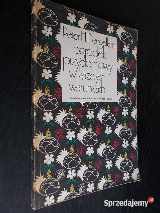 Ogródek przydomowy w każdych warunkach P H Limanowa