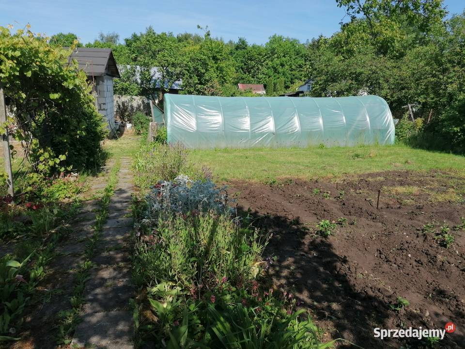 Działka ROD rekreacyjno warzywna Koszalin