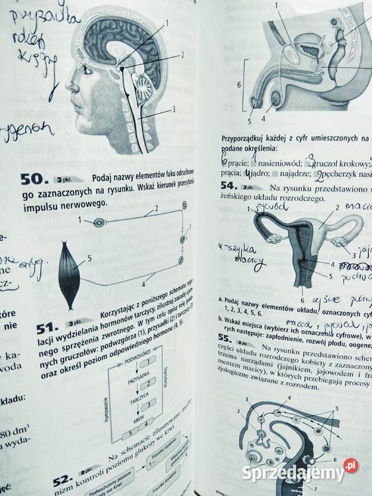 Biologia maturalnie że zdasz Warszawa sprzedam