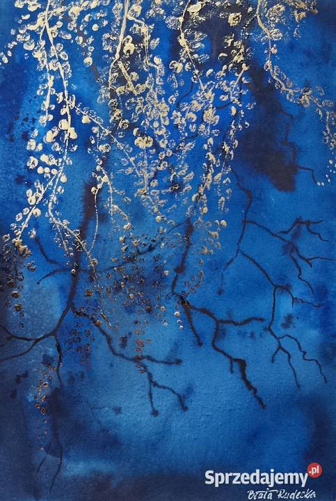 Akwarela Akwarelka Obraz pt Tajemniczy Ogród Olsztyn