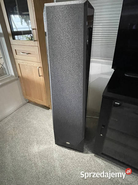 Legacy Audio Focus SE Floorstanding Speakers Torzym sprzedam