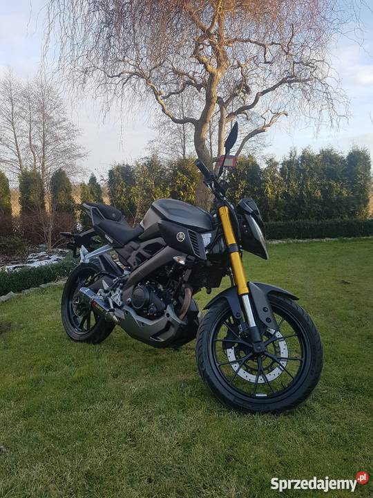 Yamaha Mt125 Kozienice