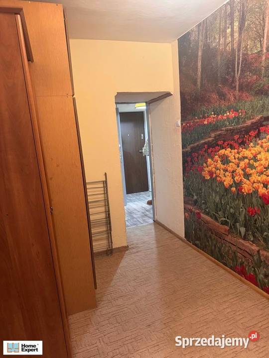 2pok 37met Pereca BALKONPIWNICA Wrocław