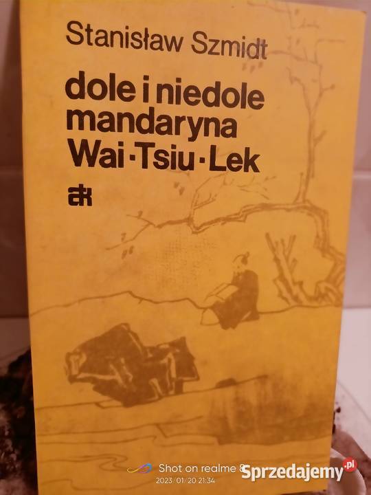 Dole i niedole mandaryna książki Warszawa Bródno
