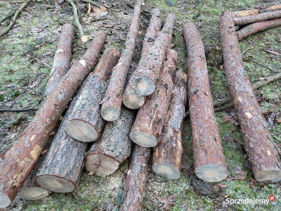 SUCHE drewno opalowe kominkowe sosna Opał Zagórów sprzedam