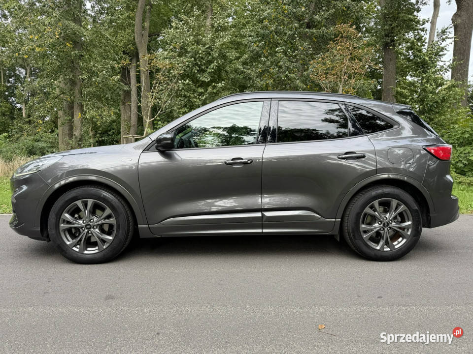 Ford Kuga MK3 15 EcoBlue TDCI STLine 2020 FULL SUV Samochody osobowe Józefkowo