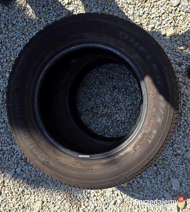 Opony Bringstone 22565 r17 Lato lubuskie Modrzyca