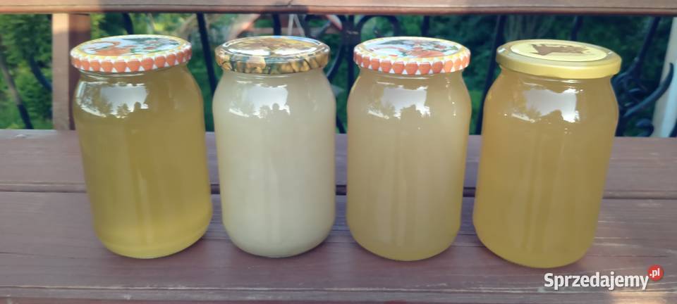 Miód wiosenny rzepakowy mniszkowy 2023 z własnej Ostrowiec Świętokrzyski