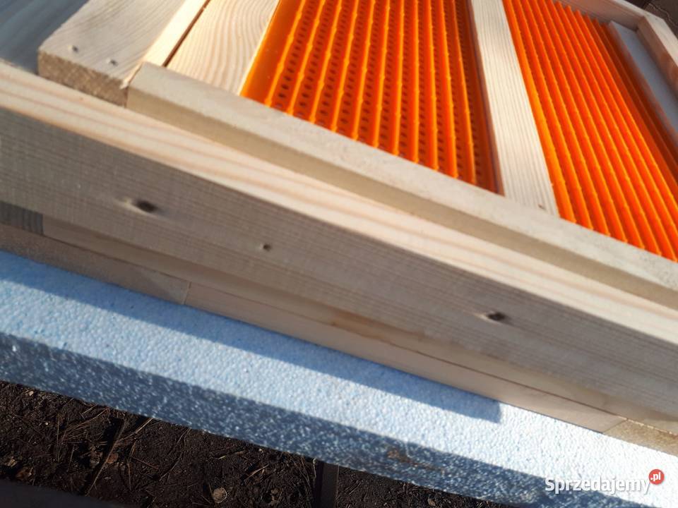 Ule wielkopolskie dennica z poławiaczem pyłku