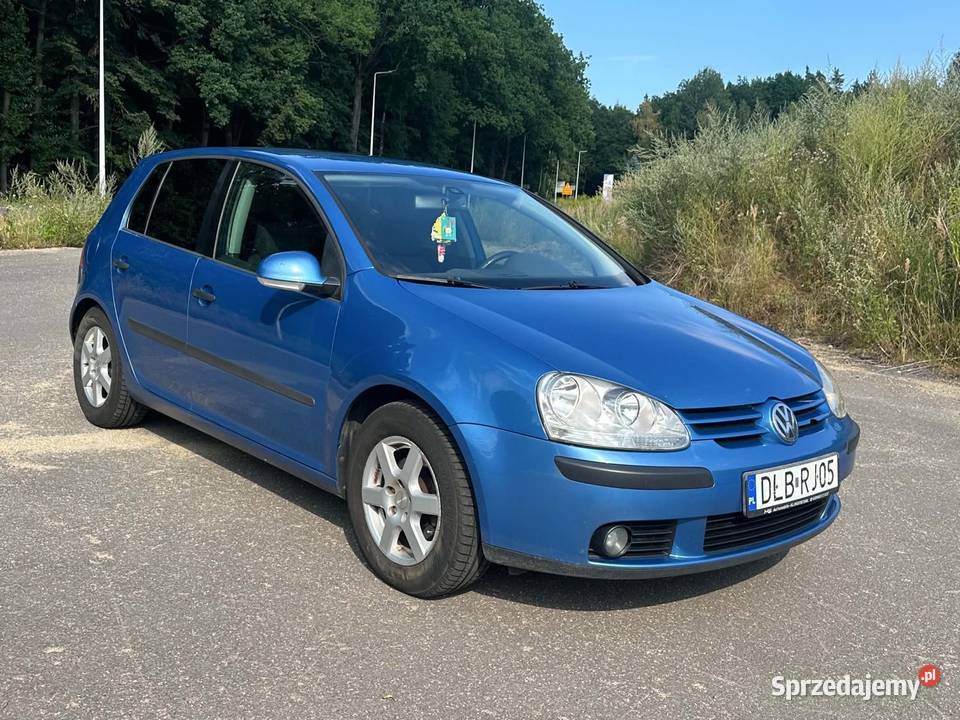 Volkswagen Golf V 2004 16 FSI 116 benzyna Golf Zgorzelec