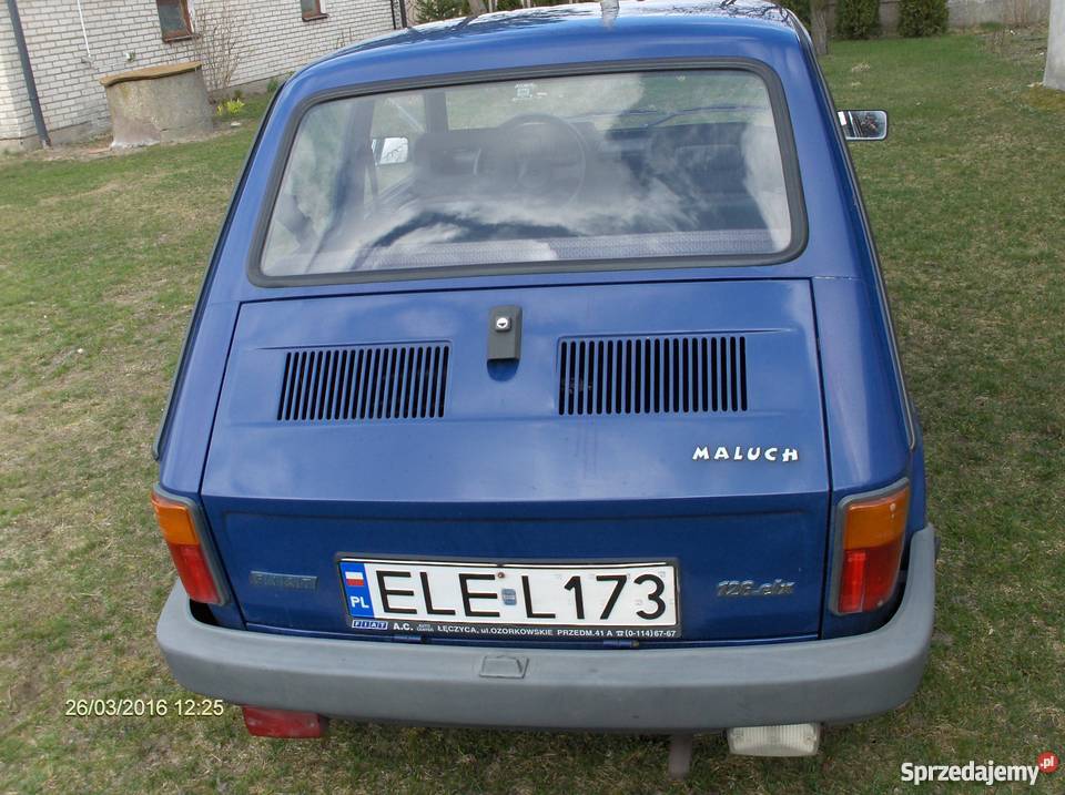 Sprzedam Topola Katowa