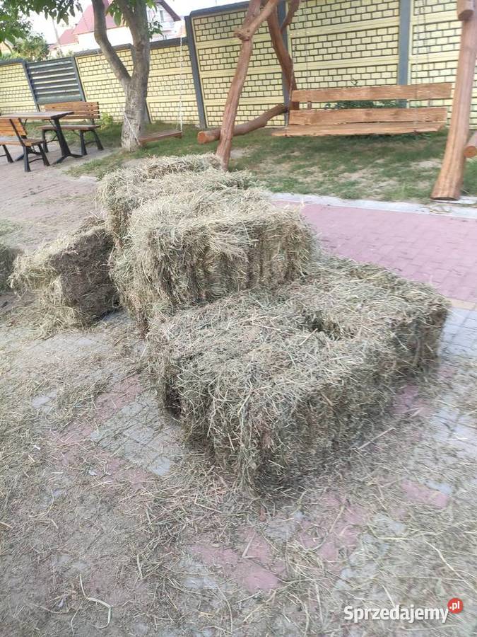 Siano pierwszy pokos w kostkach Iłża