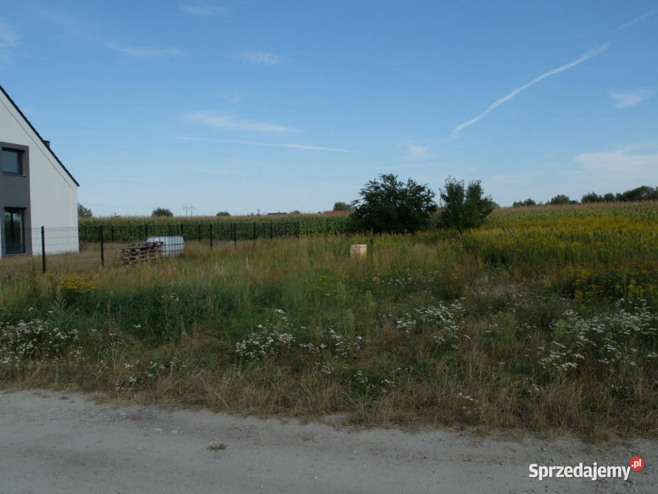 Działka 1100 m2 z WZ Jeszkowice Wrocławia 280zł/m2 dolnośląskie