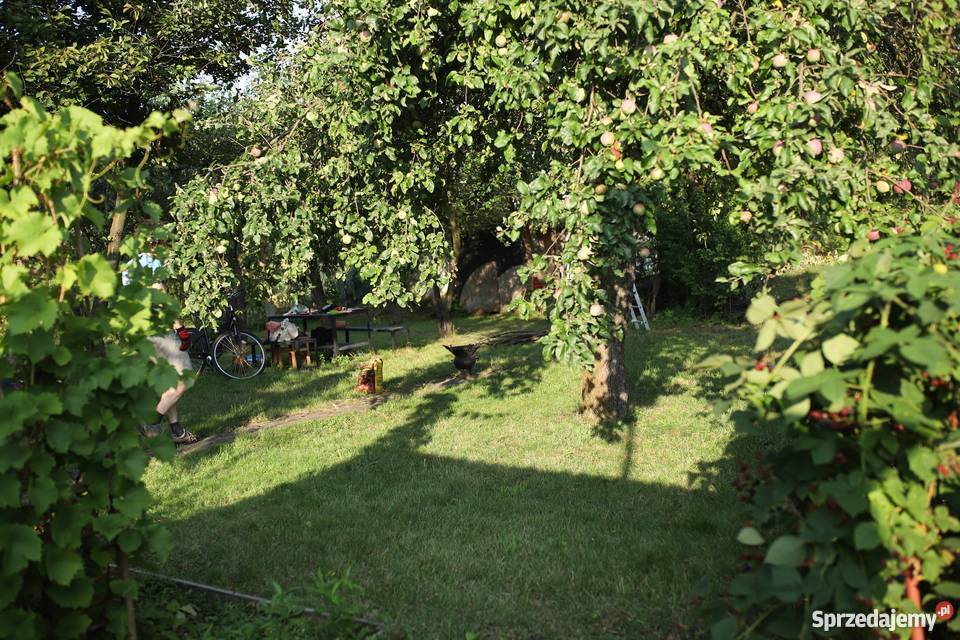 Ogródek działka ROD Zorza Śródmieście 10m sprzedam