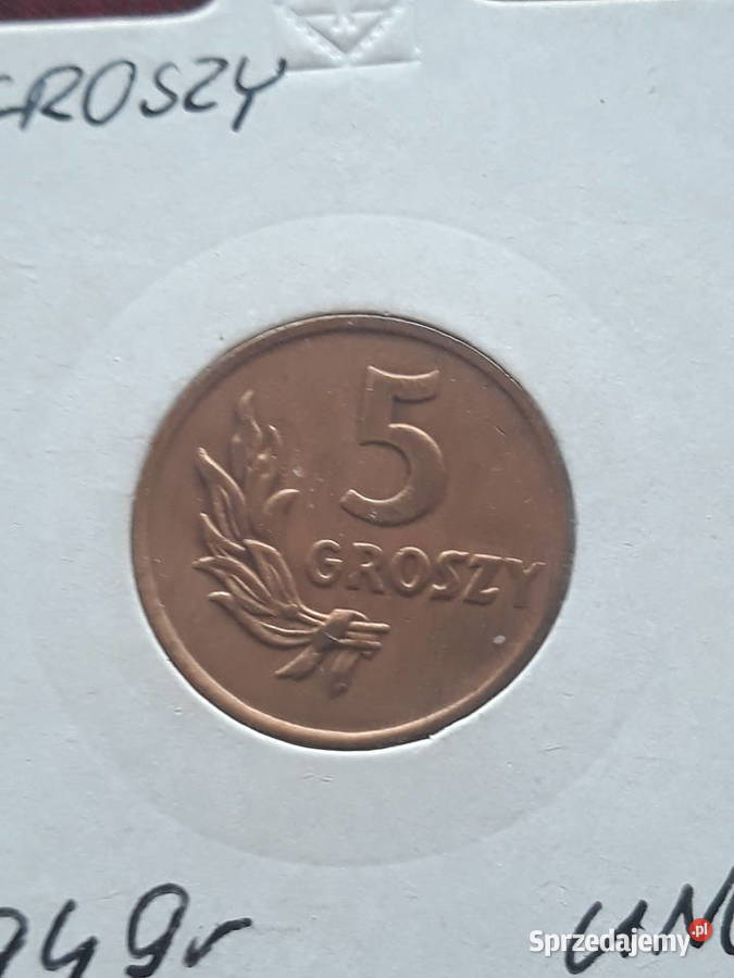 5 Groszy 1949 r Brąz Śliczne wielkopolskie