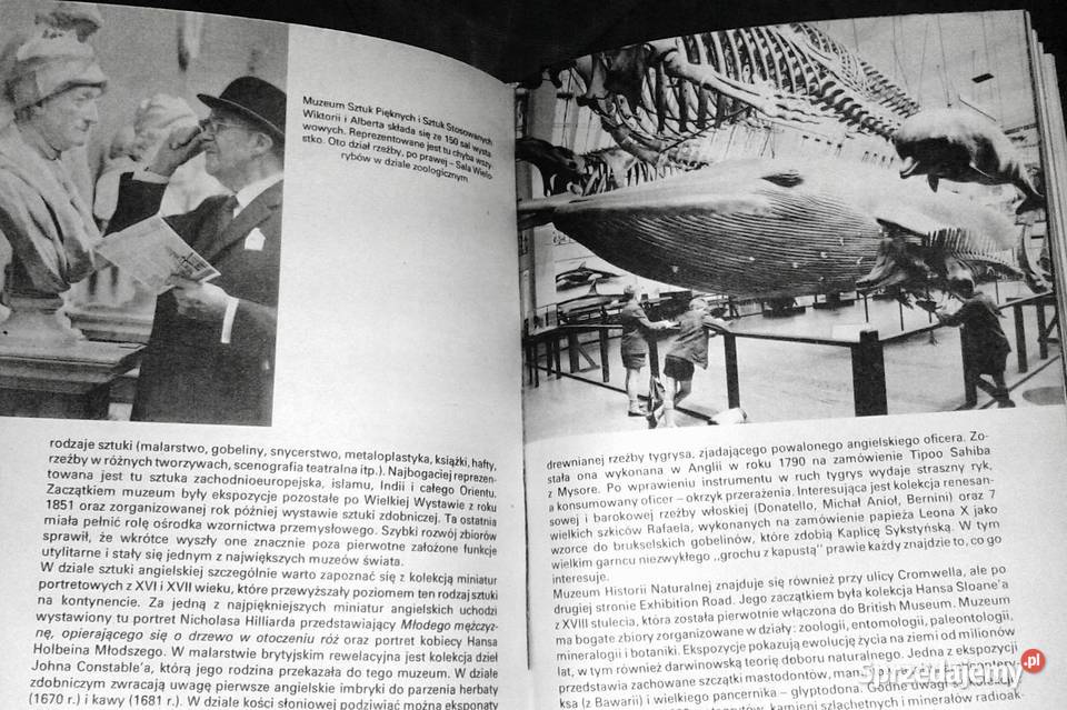 Londyn Zbigniew Boniecki lubelskie Chełm