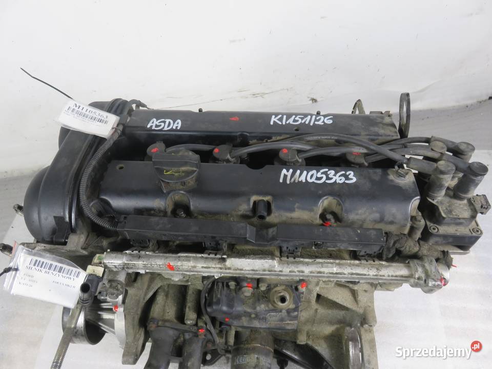 SILNIK FORD FOCUS MK2 II 14 16V 80 ASDA osobowe Części samochodowe małopolskie