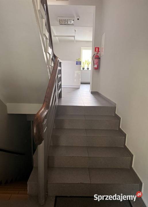 BIURO NA WYNAJEM POZNAŃ ŁAZARZ POTWOROWSKIEGO 11 Poznań