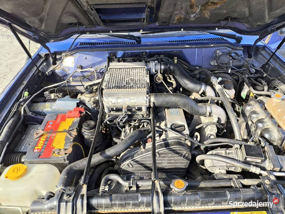 Nissan Patrol Y61 Nowy Żmigród
