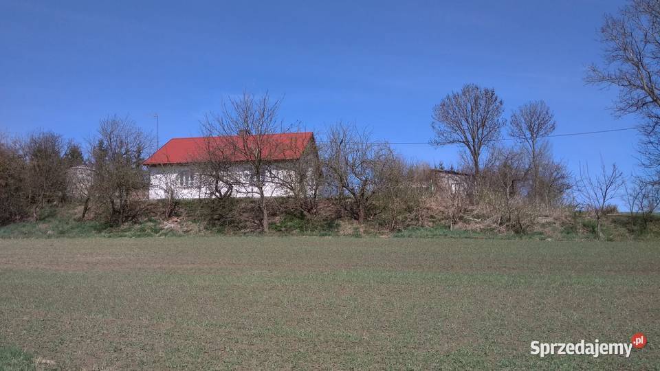 Siedlisko Dom 90 m 65 ar budynki gospodarcze 3 Sprzedaż