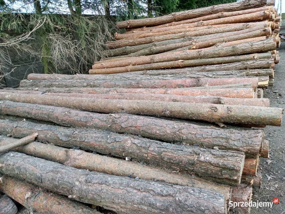 Sprzedam słupki drewniane pod ogrodzenie sosna 6 Sienno
