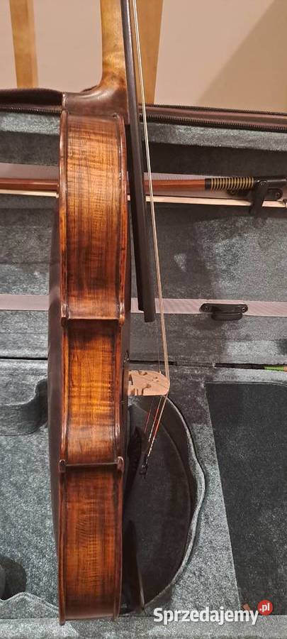 Skrzypce Stentor Verona 44 Katowice