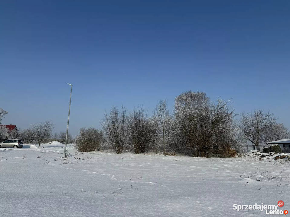 Syndyk sprzeda 13 udziału w prawie użytkowania Rybno