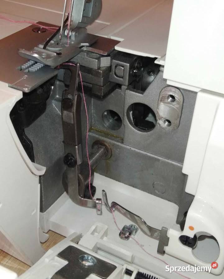 Renderka łucznik wielkopolskie Rawicz