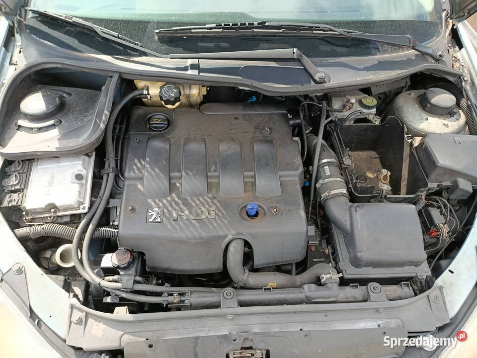 Peugeot 206 20 66 kW 2001 r dawca części Rok produkcji 2001 Szklarka Myślniewska