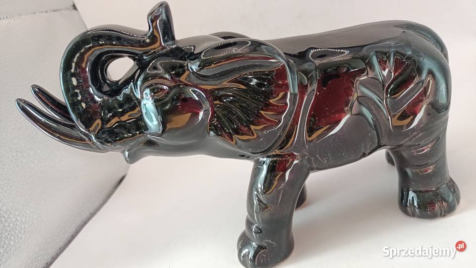 Duży czarny słoń z trąbą do góry i krocząca Zamość