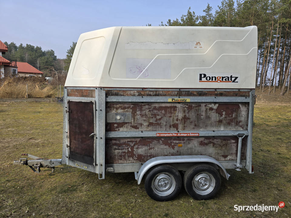 Przyczepa do przewozu koni zwierząt PONGRATZ PA Korpele sprzedam