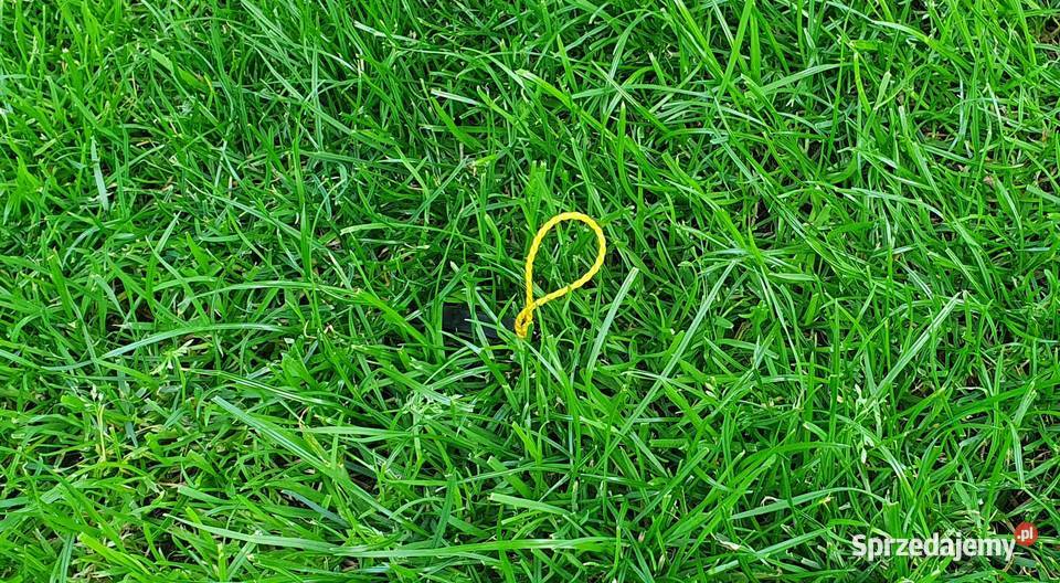 Wiatrówka z magazynkiem baikał iż mp61