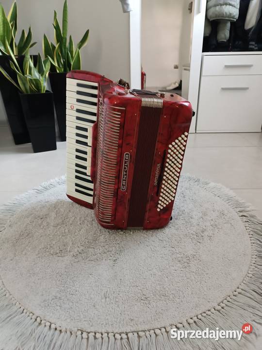 Akordeon cantulia 96 basów Pozostałe Dębica