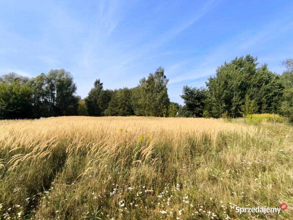 DZIAŁKA USŁUGOWA 2000 m KOBYLIN gmina GRÓJEC Sprzedaż mazowieckie
