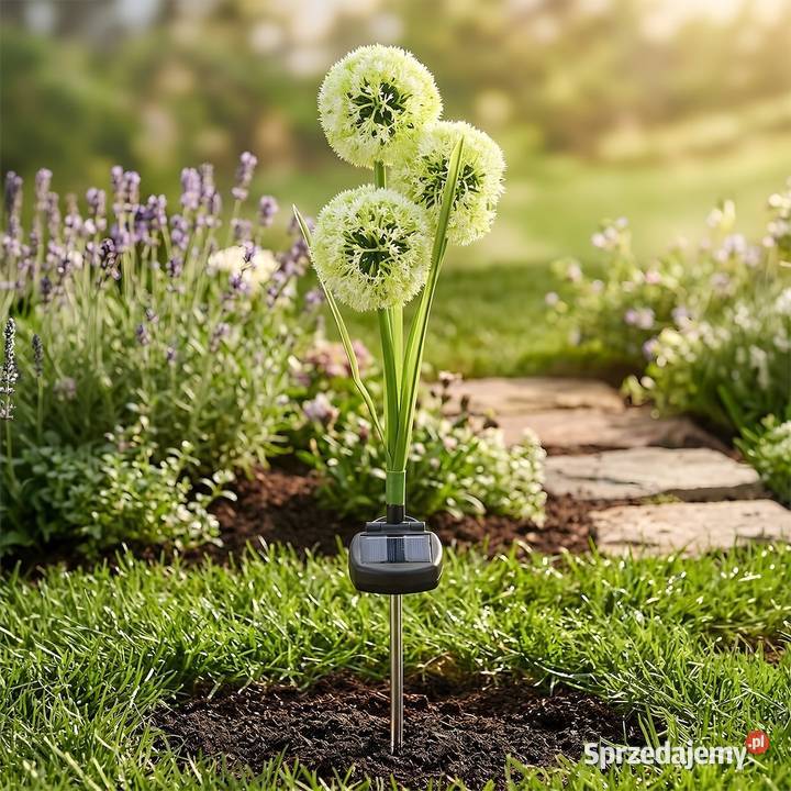 HIT Lampka Solarna Garlic Color RGB IP44 Starokrzepice