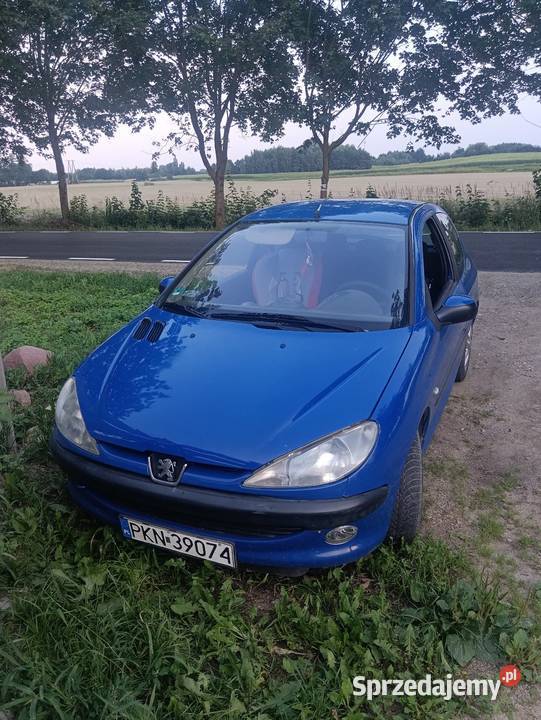 Peugeot 206 2002r klima benzyna wielkopolskie Jastrzębowo