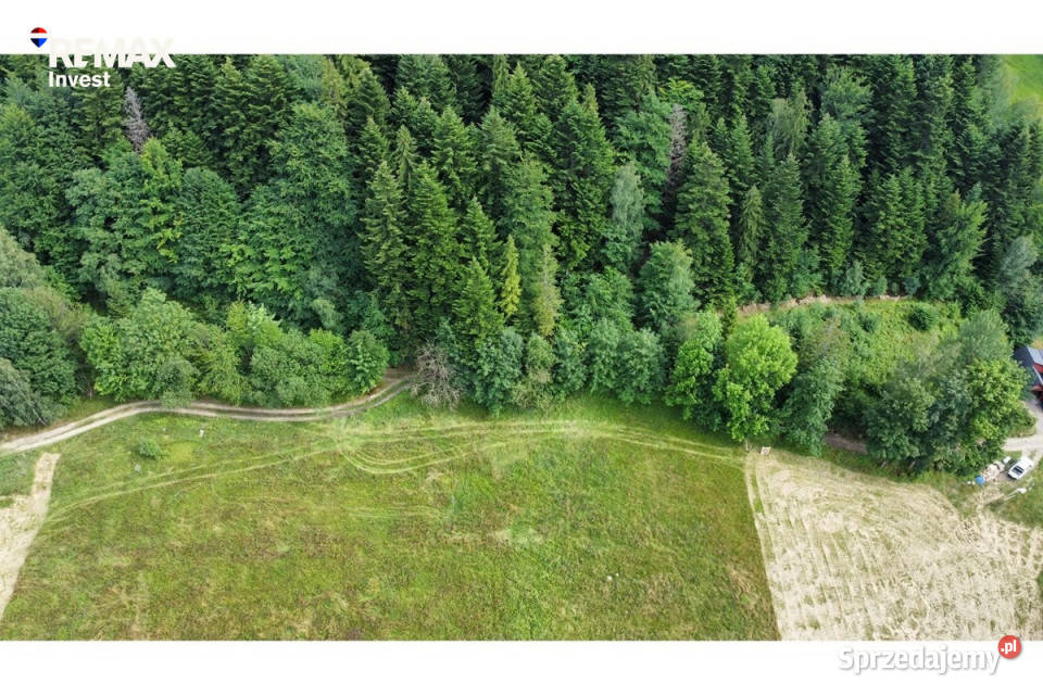 Kompleks działek leśnych w Szczyrku 440m2 śląskie Szczyrk sprzedam