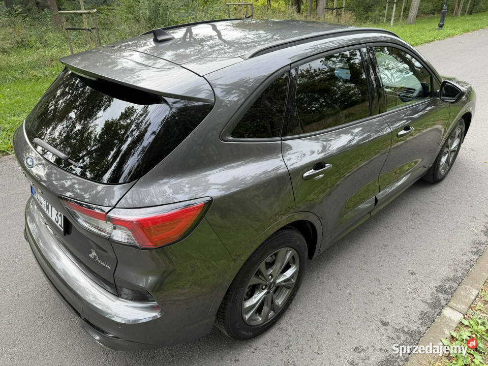 Ford Kuga MK3 15 EcoBlue TDCI STLine 2020 FULL klimatyzacja Józefkowo sprzedam