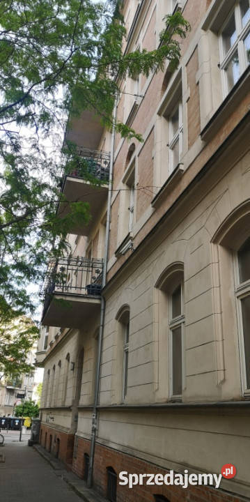 Duże mieszkanie centrum Poznania Poznań