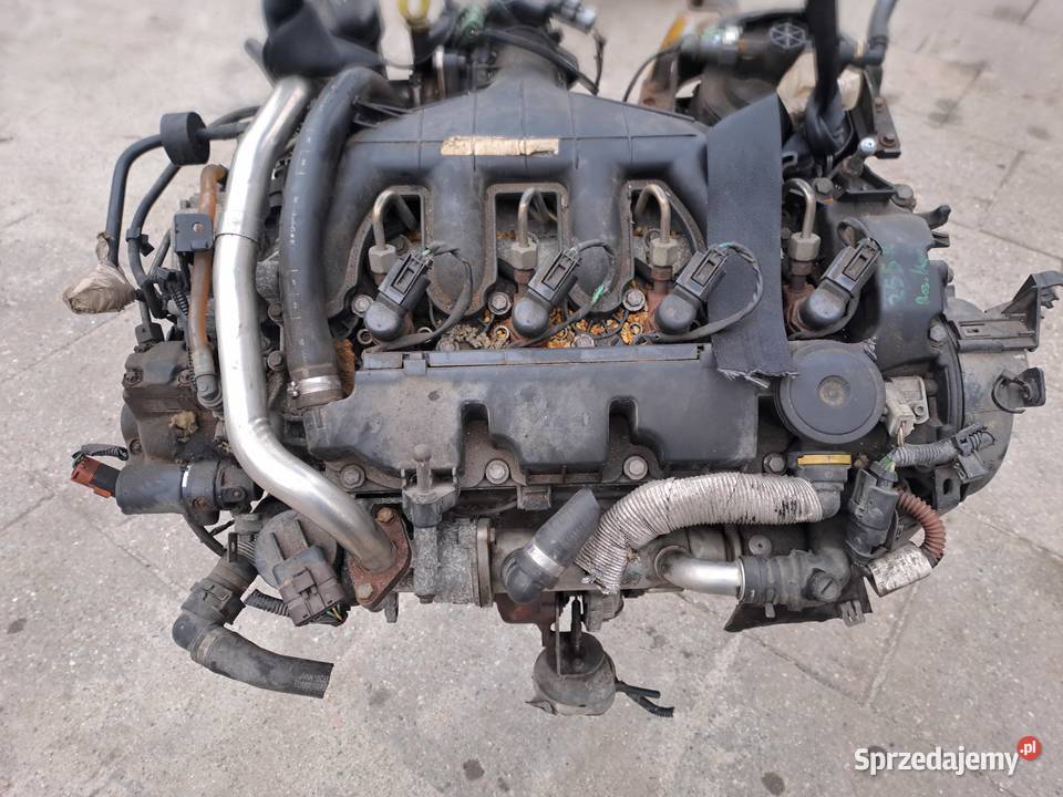 Ford Fokus C Kuga 20 TDCi silnik kompletny G6DA