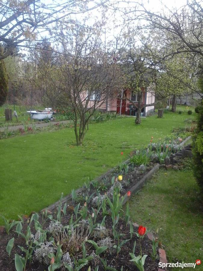 Ogródek działkowy w Siemianowicach Śląskich ROD Siemianowice Śląskie