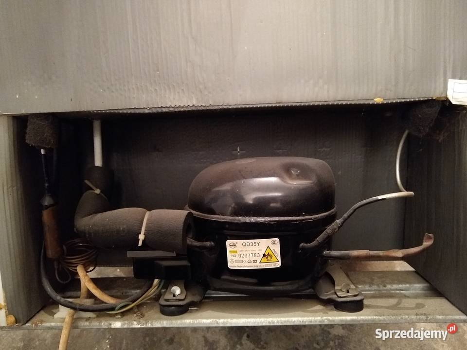 Chłodziarka mała Gdynia