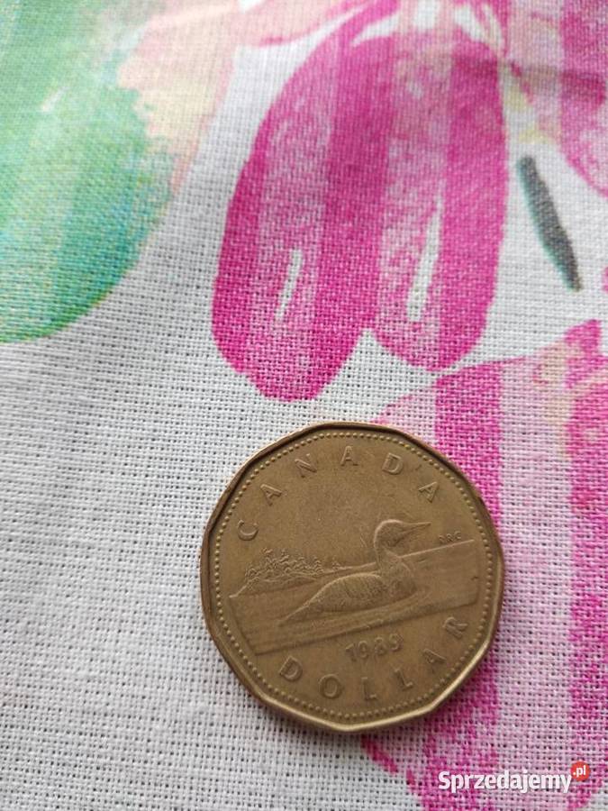 moneta canada dollar 1989 wielkopolskie Poznań
